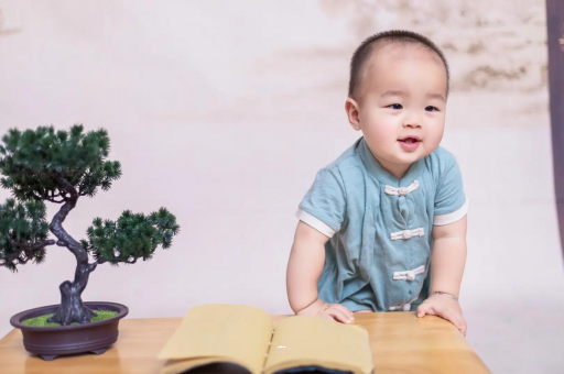 阜宁可爱的企鹅宝宝